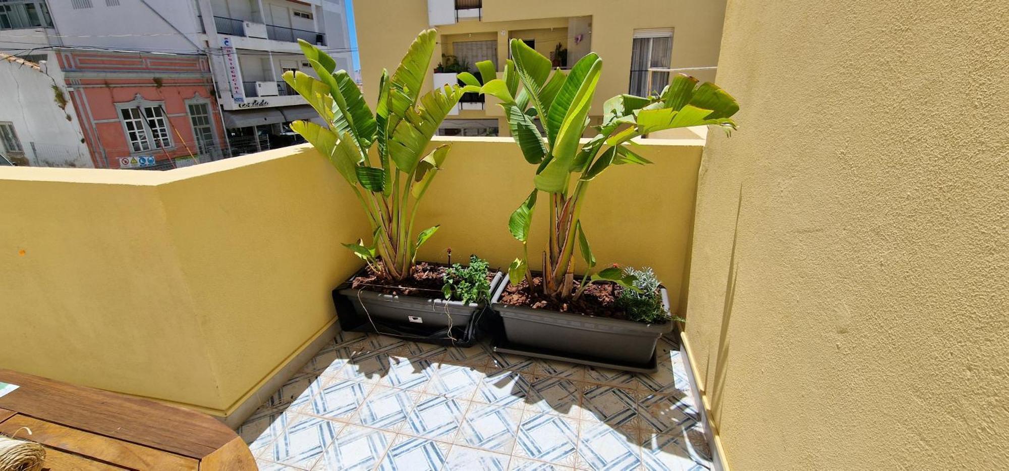 Appartement Casa Da Acoteia à District de District de Faro Extérieur photo